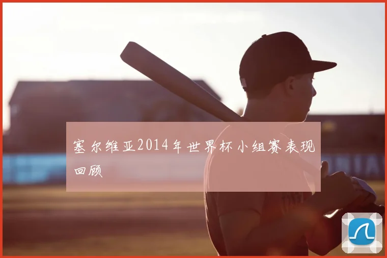 塞尔维亚2014年世界杯小组赛表现回顾