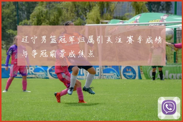 辽宁男篮冠军归属引关注 赛季成绩与争冠前景成焦点